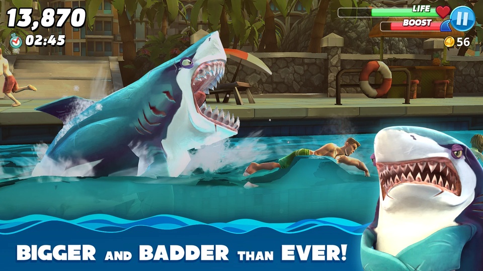 HungrySharkworld国际版