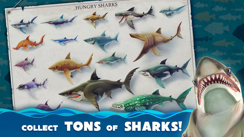HungrySharkworld国际版