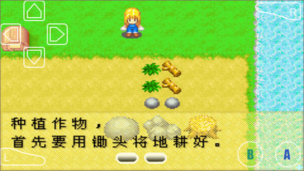 牧场物语女孩版中文版