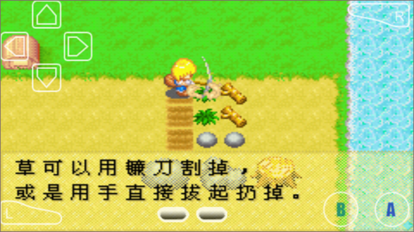 牧场物语女孩版中文版