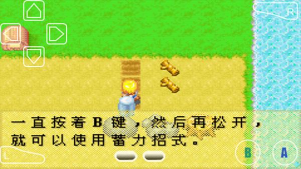 牧场物语女孩版中文版游戏截图3