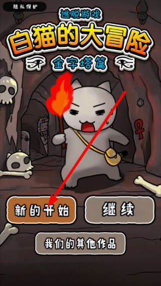 白猫的大冒险