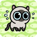 冒险猫免广告