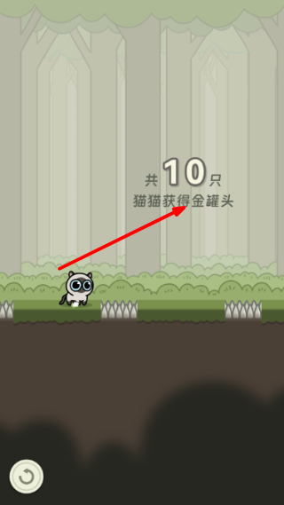 冒险猫