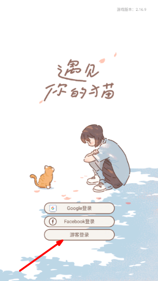 Purrfect Tale