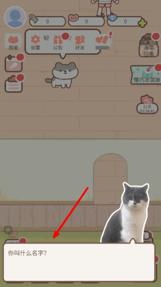 Purrfect Tale