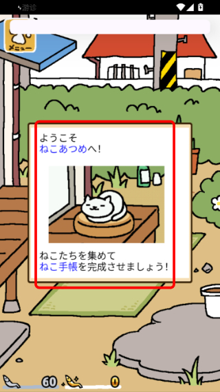 猫咪后院