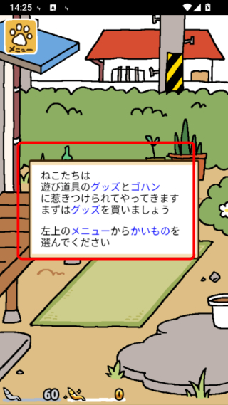 猫咪后院