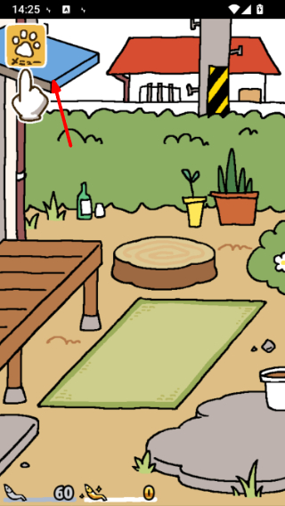 猫咪后院