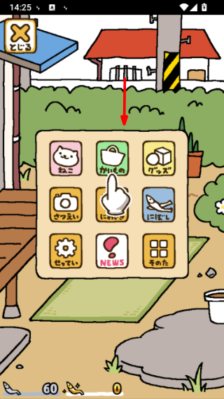 猫咪后院