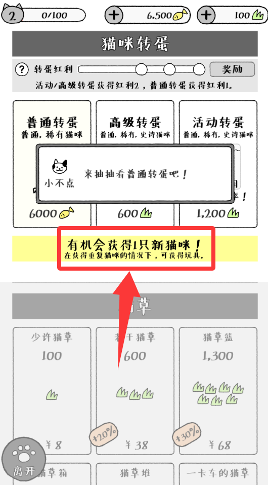 猫咪真的很可爱