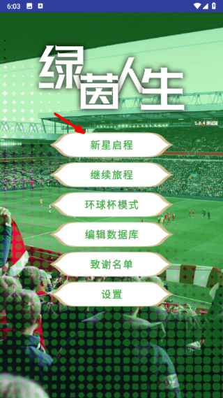 绿茵人生