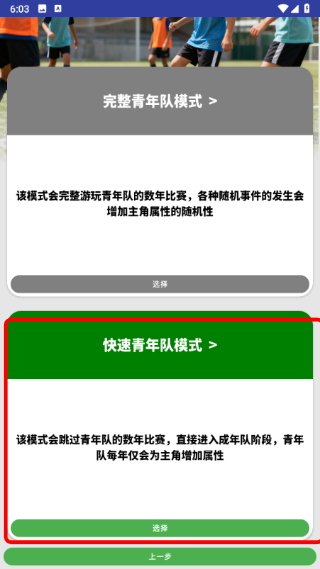 绿茵人生