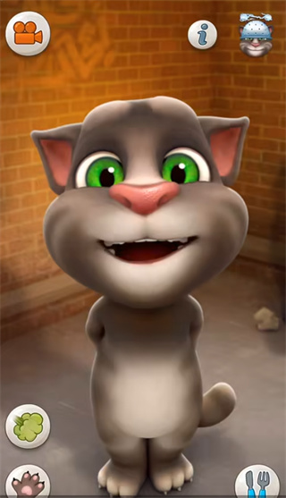 会说话的汤姆猫3