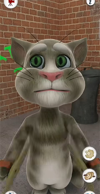 会说话的猫免费版