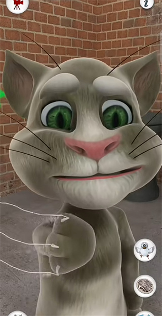 会说话的猫免费版