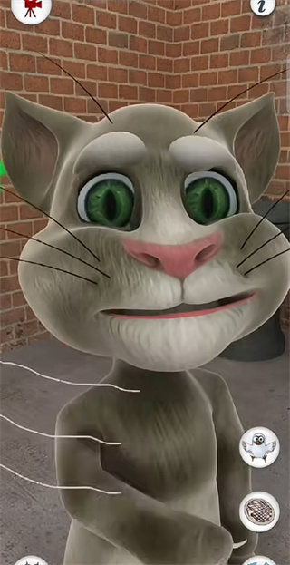会说话的猫免费版
