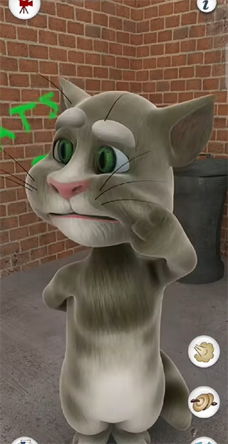 学舌猫
