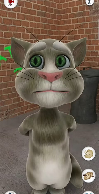 学舌猫