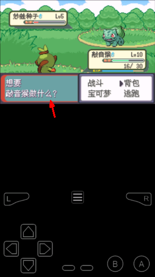 口袋妖怪燃之智3.4游戏截图2