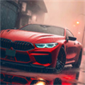 Driving School sim2026