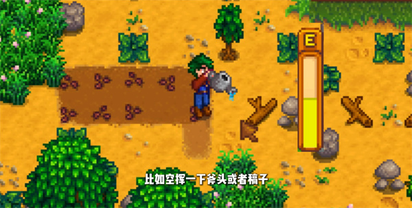 星露谷物语1.6