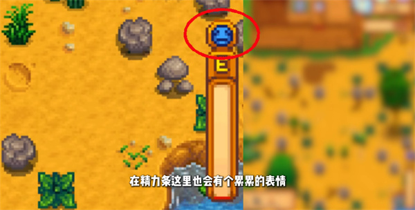 星露谷物语1.6游戏截图5